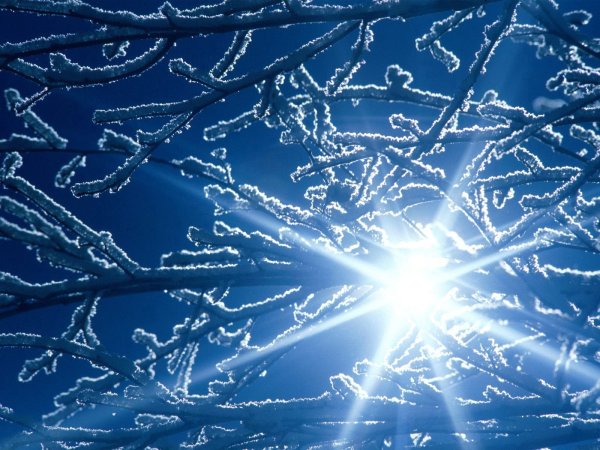 Снежинки в природе