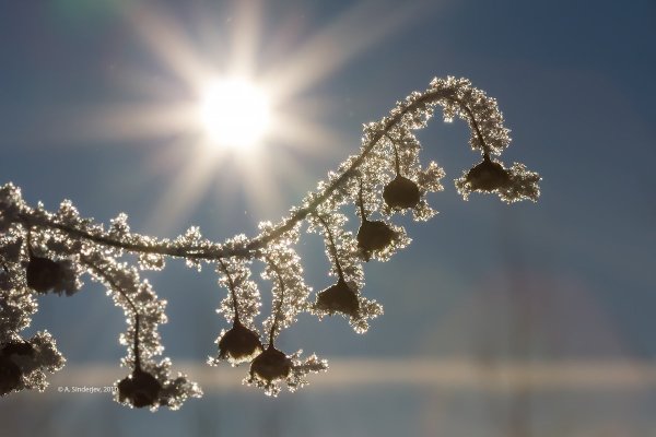 Shivaki STV-24led22w