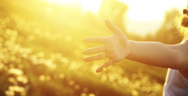 Солнце в ладошках