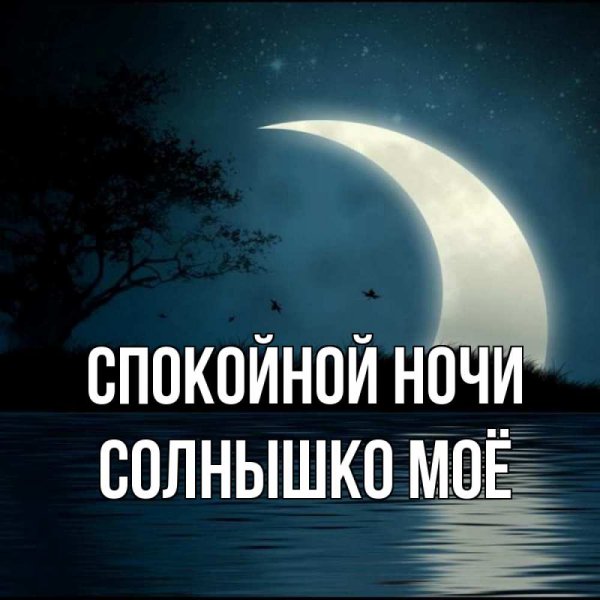Спокойной ночи любимая