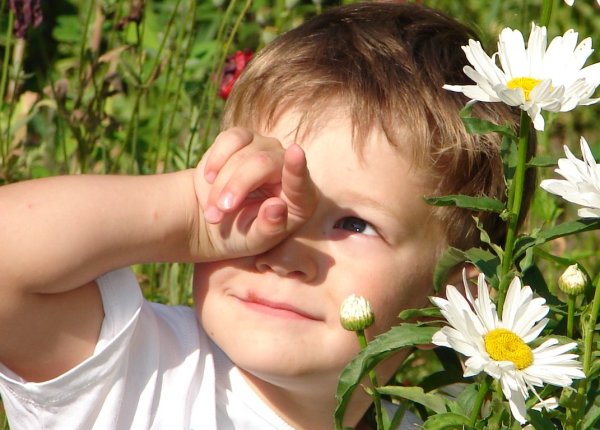 Дети под солнцем