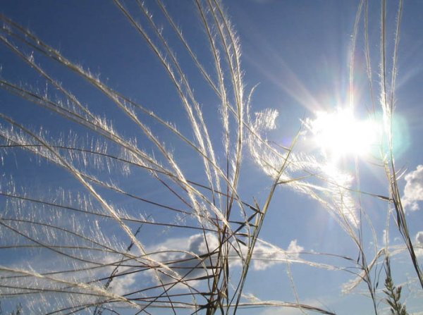 Ветер и солнце