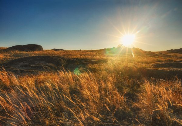 Солнцу и ветру навстречу