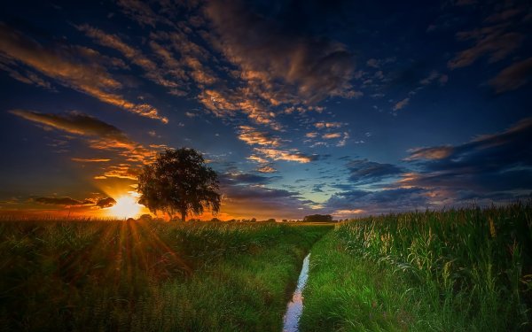 Природа солнце