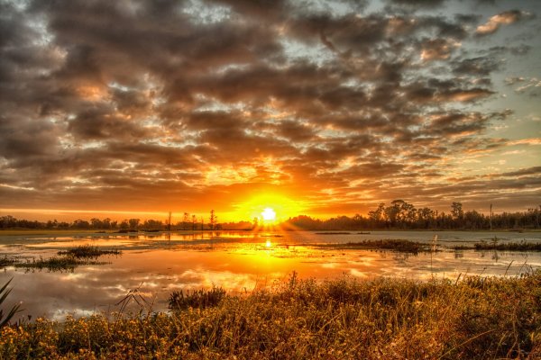 На Восходе солнца