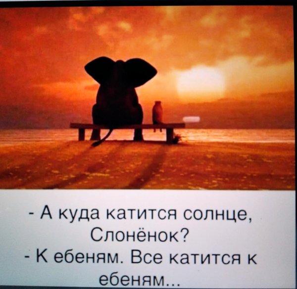 Куда катится солнце Слоненок картинка
