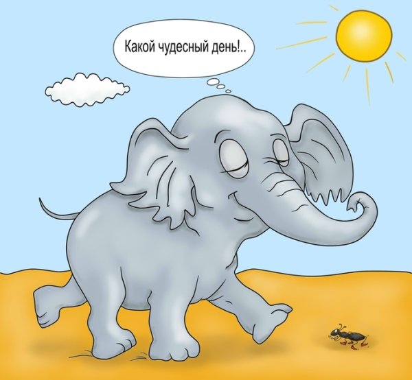 А куда катится солнце Слоненок