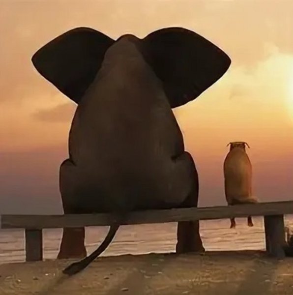 Одинокий Слоник