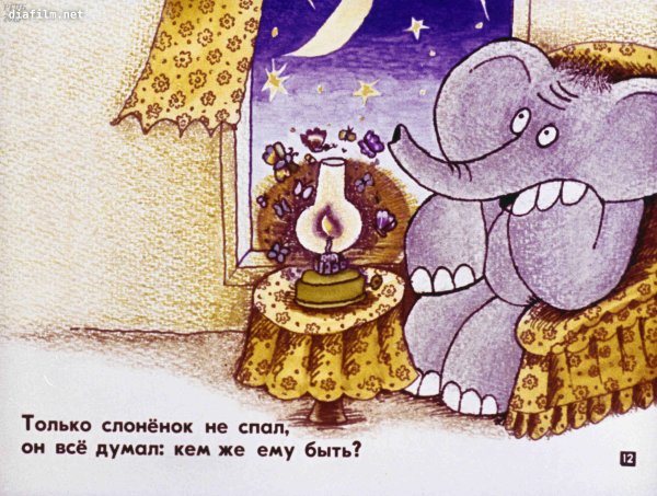 Слоны на закате