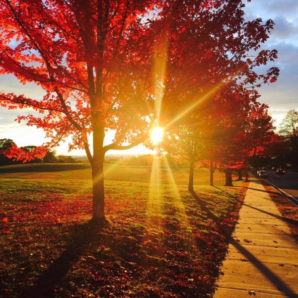 Осеннее солнце