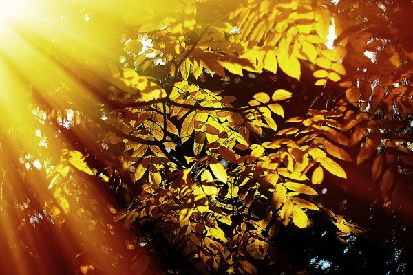 Осенью светит солнце