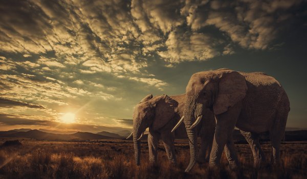 Каждый должен лохануться самостоятельно