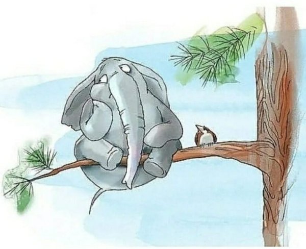 Слоненок на прозрачном фоне