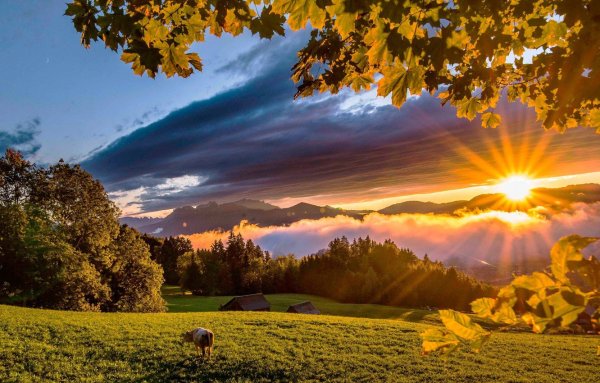 Природа солнце