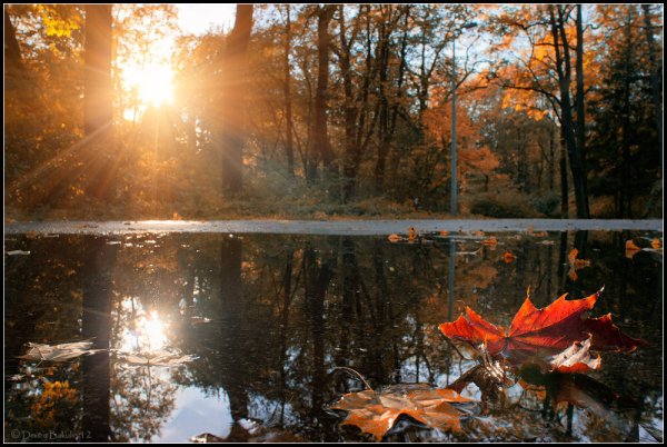 Утро октября