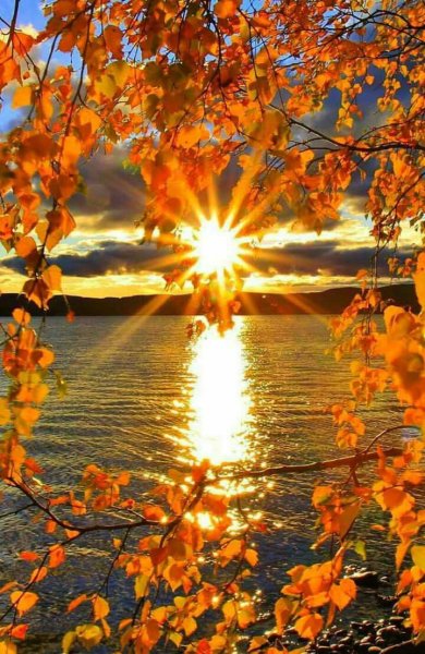 Солнечный осенний день