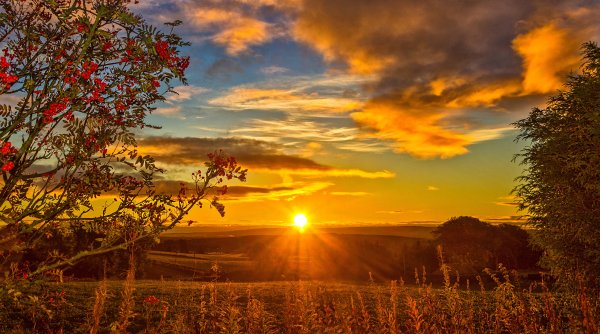 Осень закат