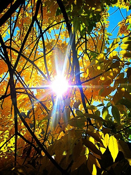 Солнце осенью