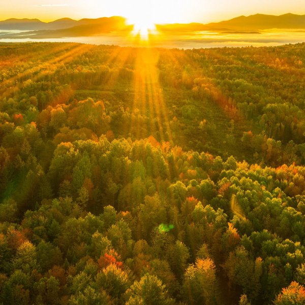 Осенний Восход