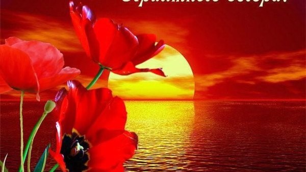 Летнего вечера и отличного настроения