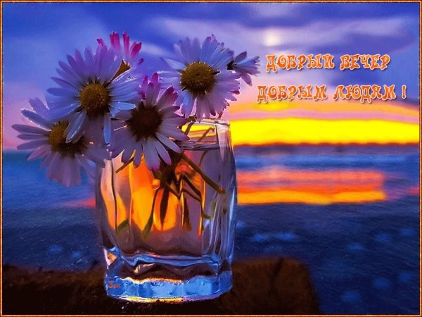 Доброго летнего вечера