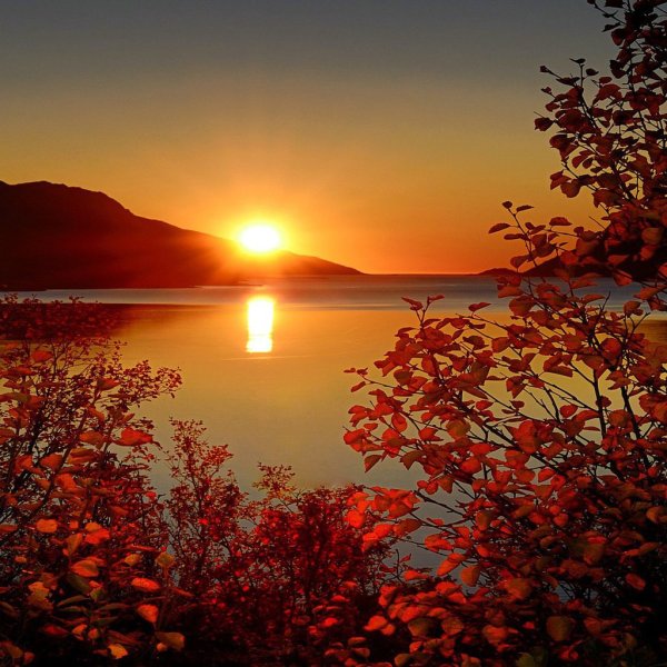 Сидела рядом тишина и понимающе