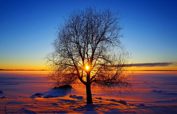 Зима деревья солнце