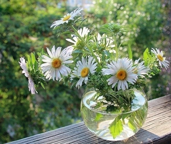 Доброе утро и счастья в жизни