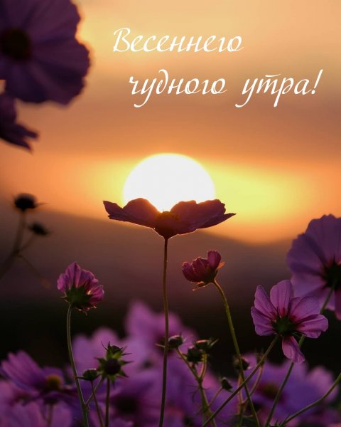 Здравствуй, солнышко