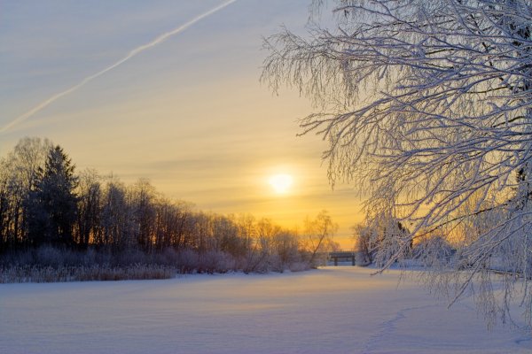 Февральский пейзаж