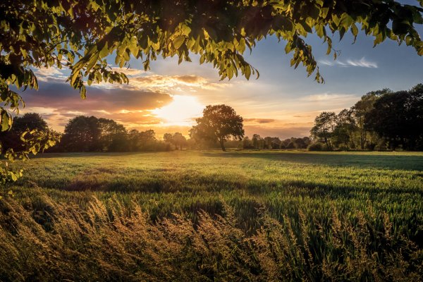 Природа солнце