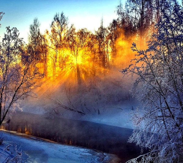 Морозное утро