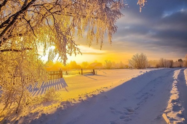 Солнечное Снежное утро
