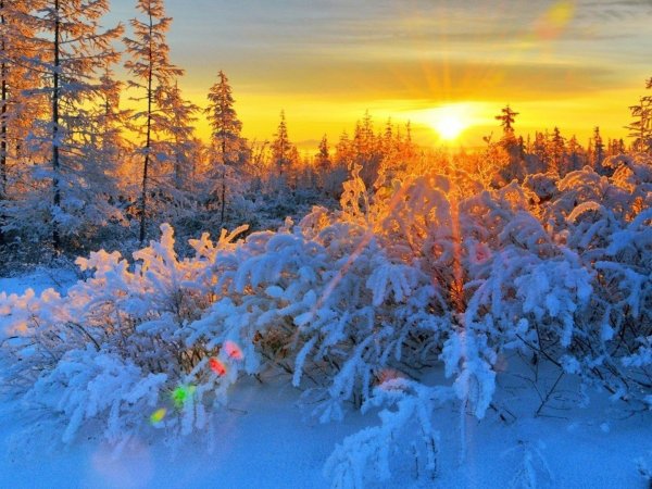 Зимний пейзаж