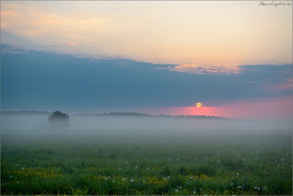 Раннее утро небо