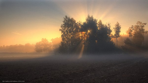 Первые лучи солнца на рассвете