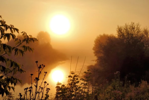 Солнце встает