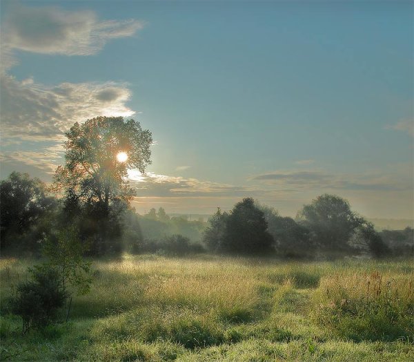 Июльский пейзаж