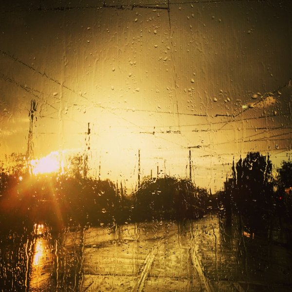 Утренний дождь