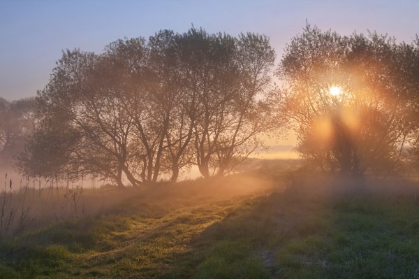 Раннее утро туман