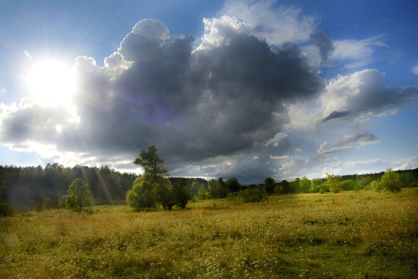 Пасмурное лето