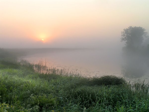 Река в утренней дымке