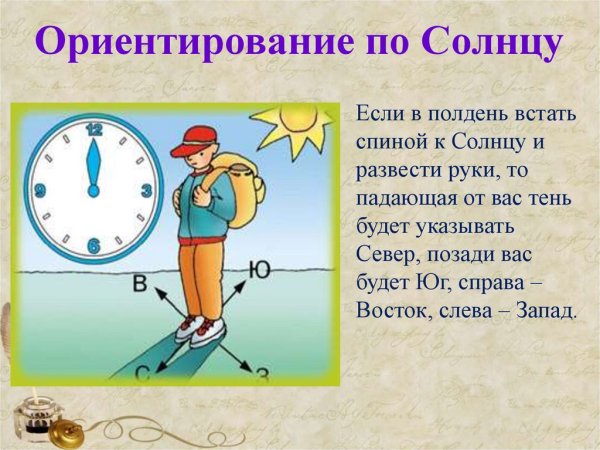 Ориентирование в лесу по солнцу