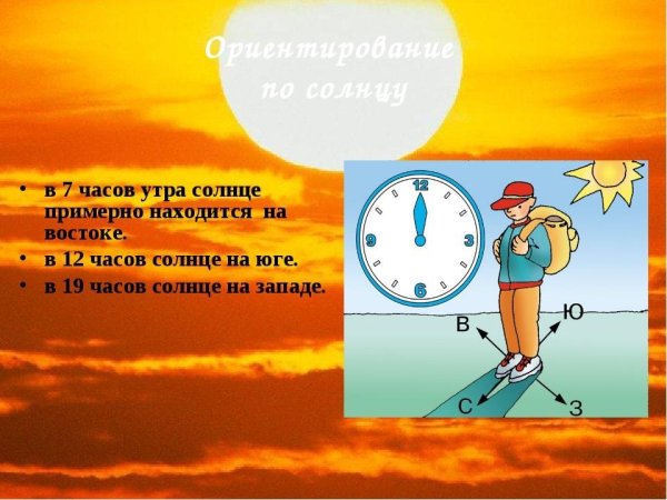 Сообщение ориентирование по солнцу