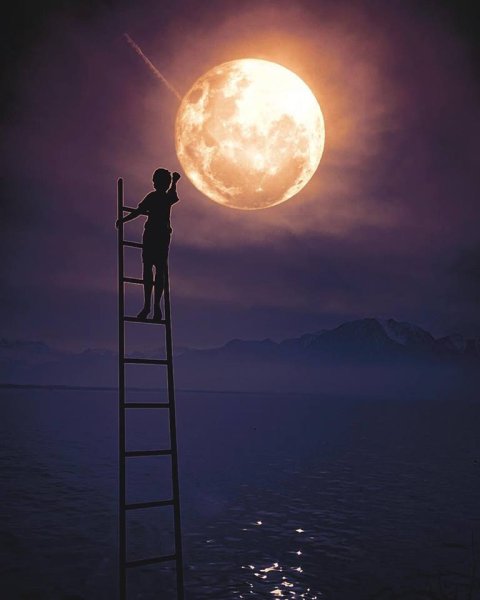 Дарина Резник