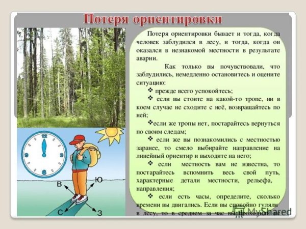 Ориентирование под небесным светилом