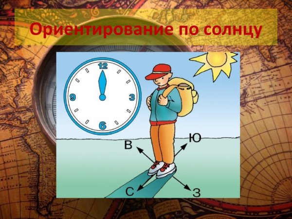 Пешие прогулки на природе