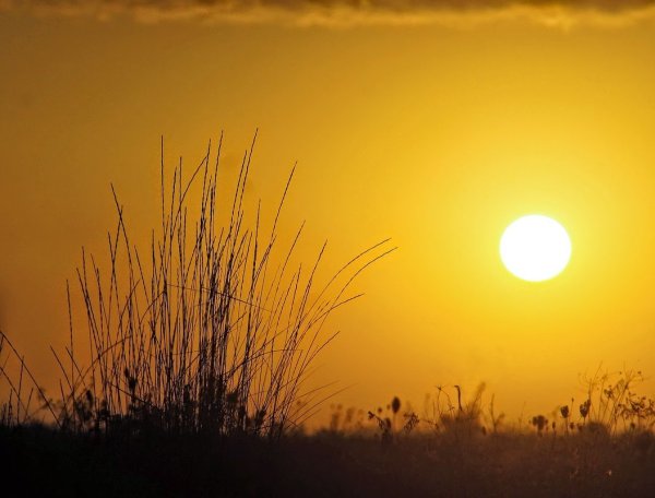 Солнышко белое