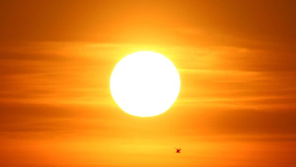 Солнце сияет