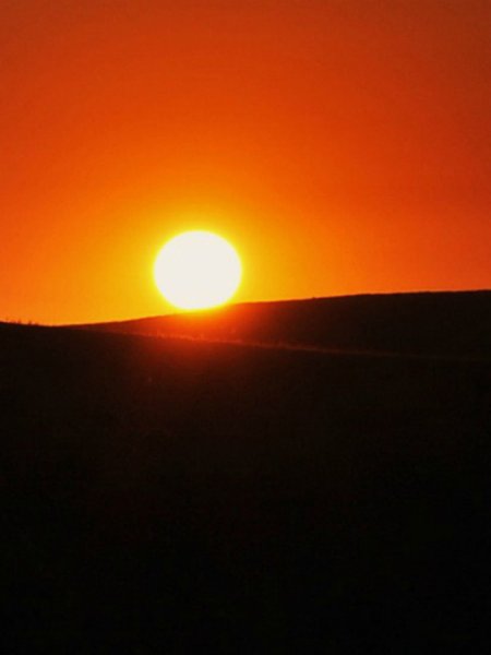 Красная Ромашка Муса Джалиль